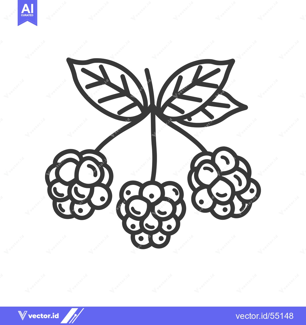 Premium Vector dari Line Art Illustration of Three Blackberries with Leaves