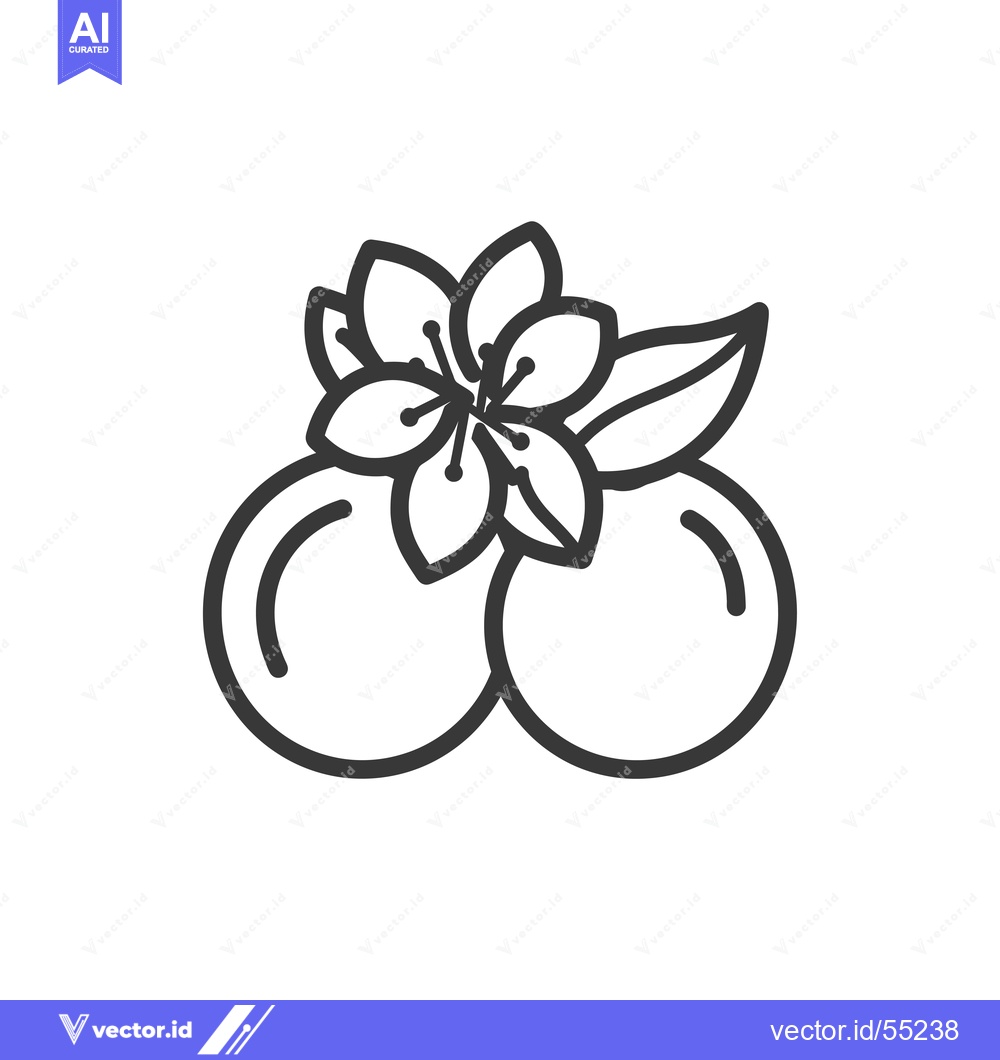 Premium Vector of Line Art Illustration of Two Round Fruits with a Flower