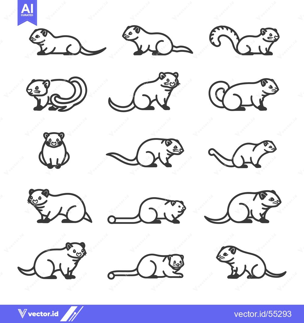 Premium Vector dari Line Art Illustrations of Ferrets in Various Poses
