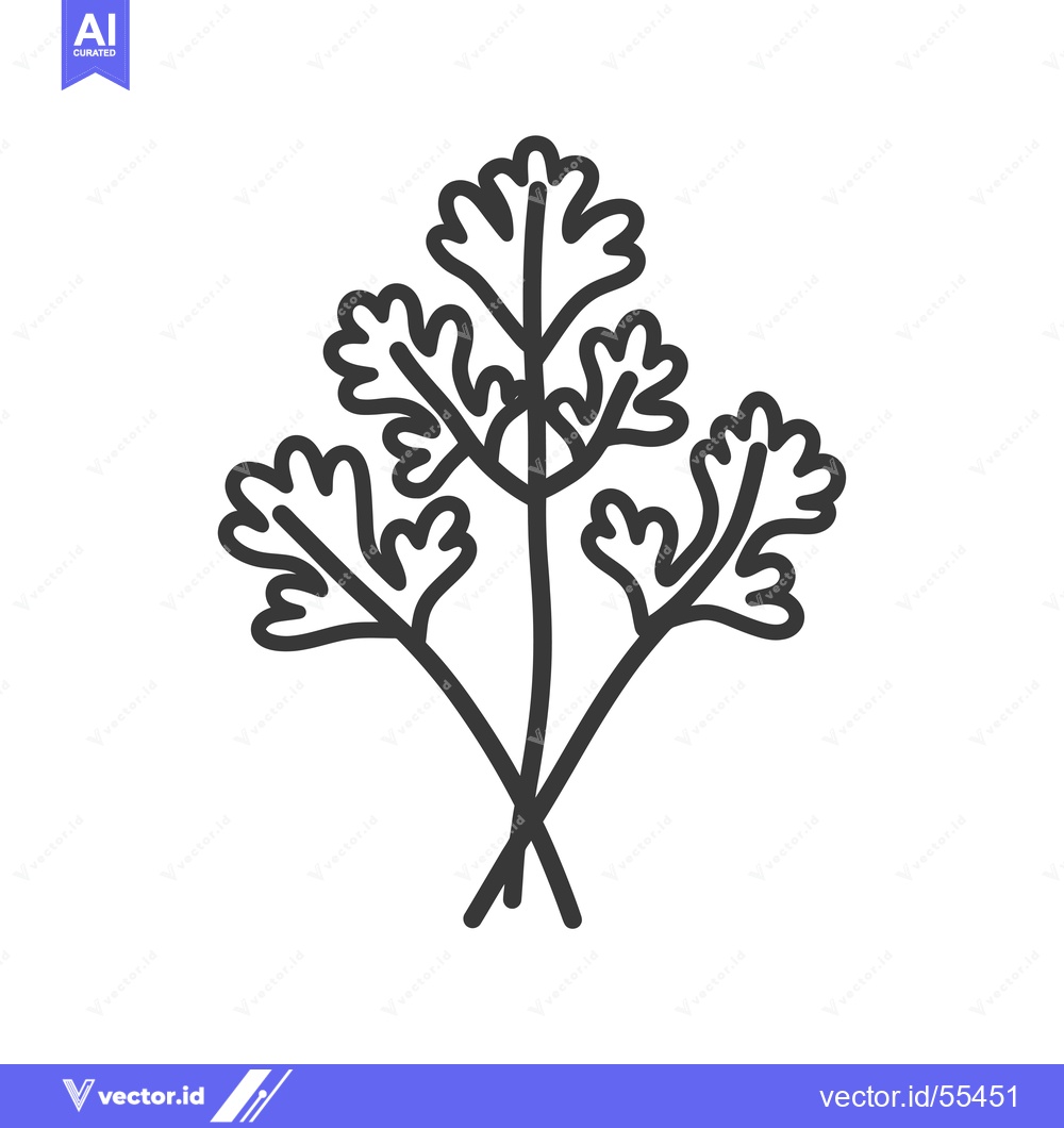 Premium Vector of Line drawing illustration of a bunch of cilantro