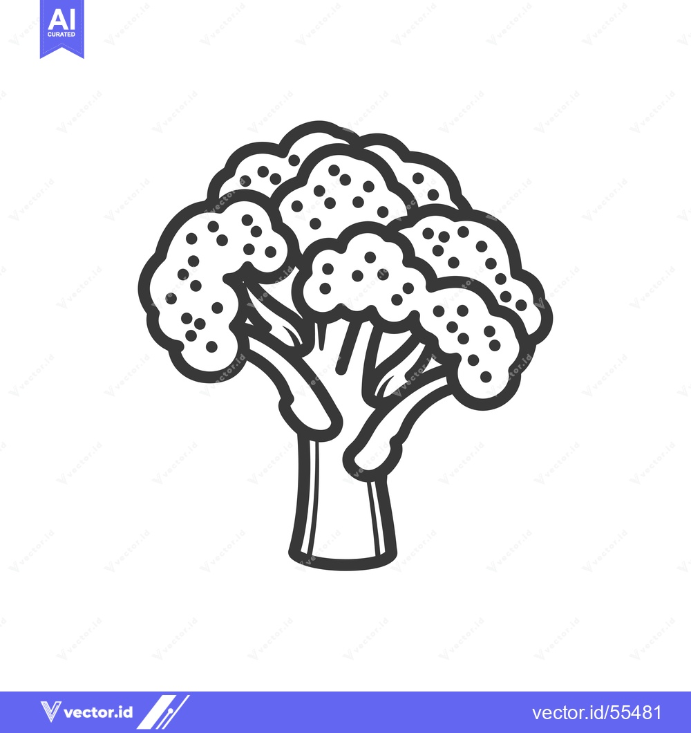 Premium Vector dari Line drawing illustration of a single head of broccoli