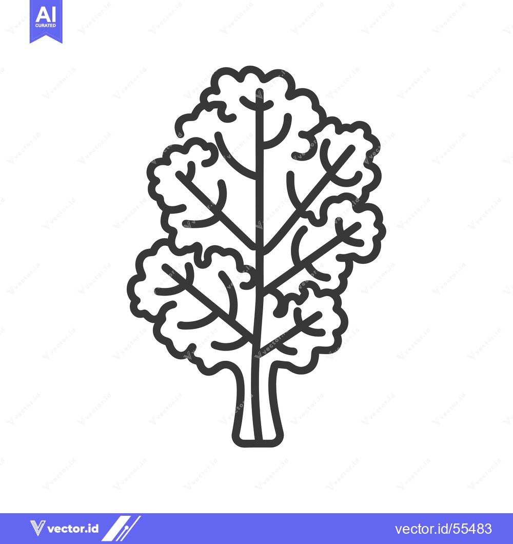 Premium Vector dari Line drawing illustration of a single kale leaf