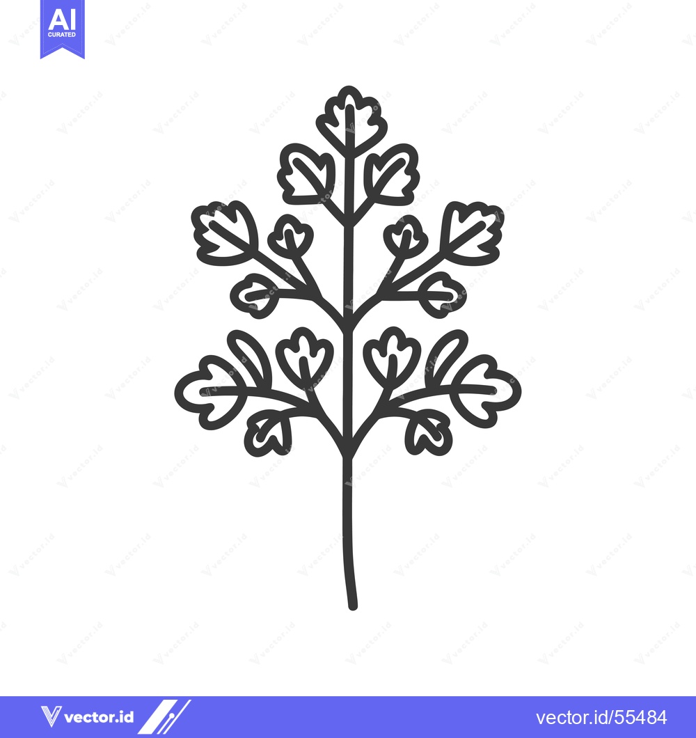 Premium Vector dari Line drawing illustration of a single sprig of cilantro