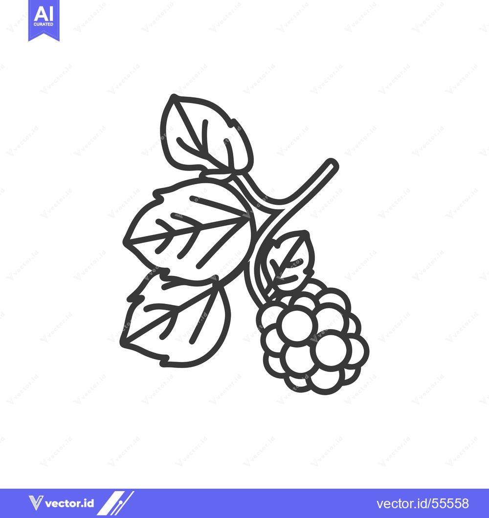 Premium Vector of Line drawing of a blackberry with leaves