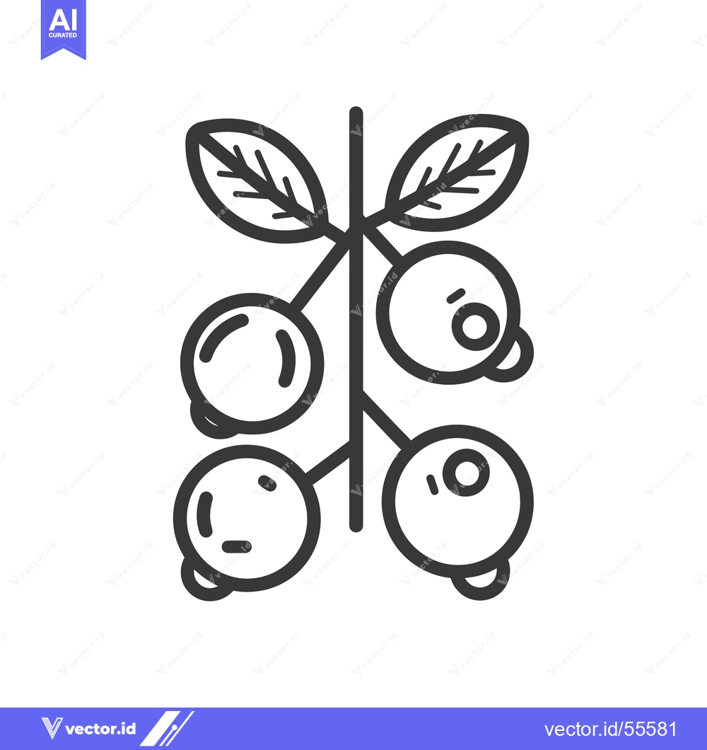 Premium Vector dari Line Drawing of a Branch of Blueberries with Leaves