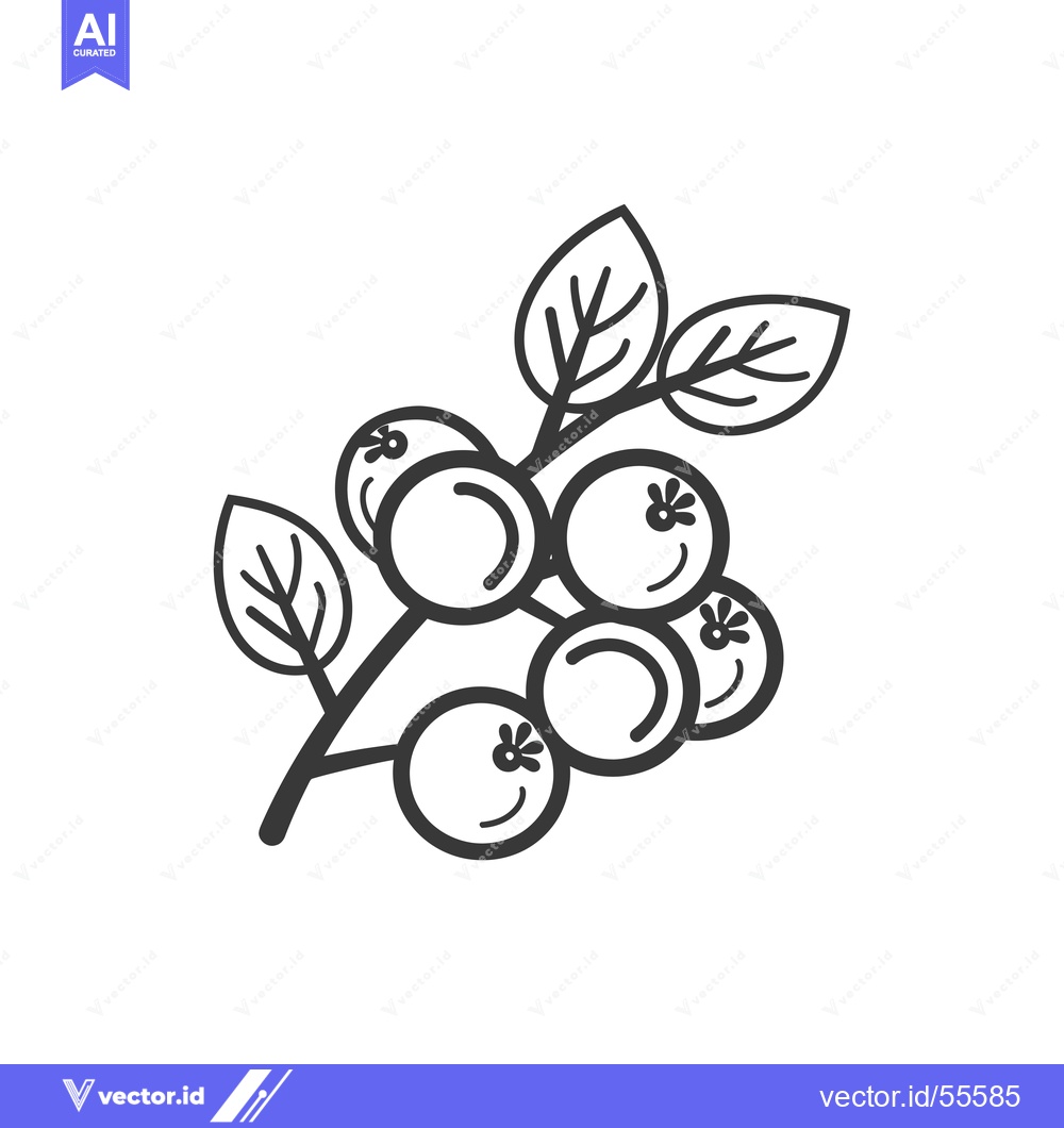 Premium Vector of Line Drawing of a Branch with Five Blueberries and Leaves