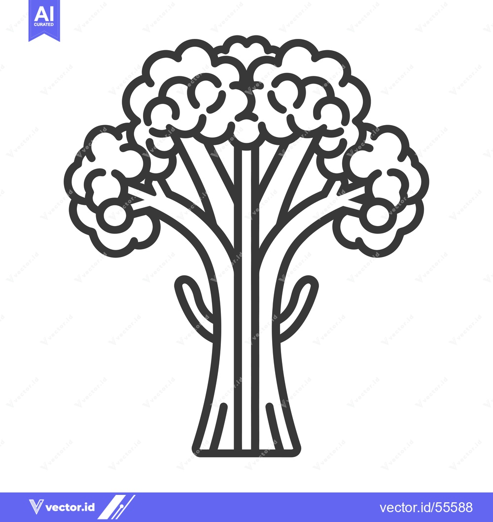 Premium Vector dari Line drawing of a broccoli floret