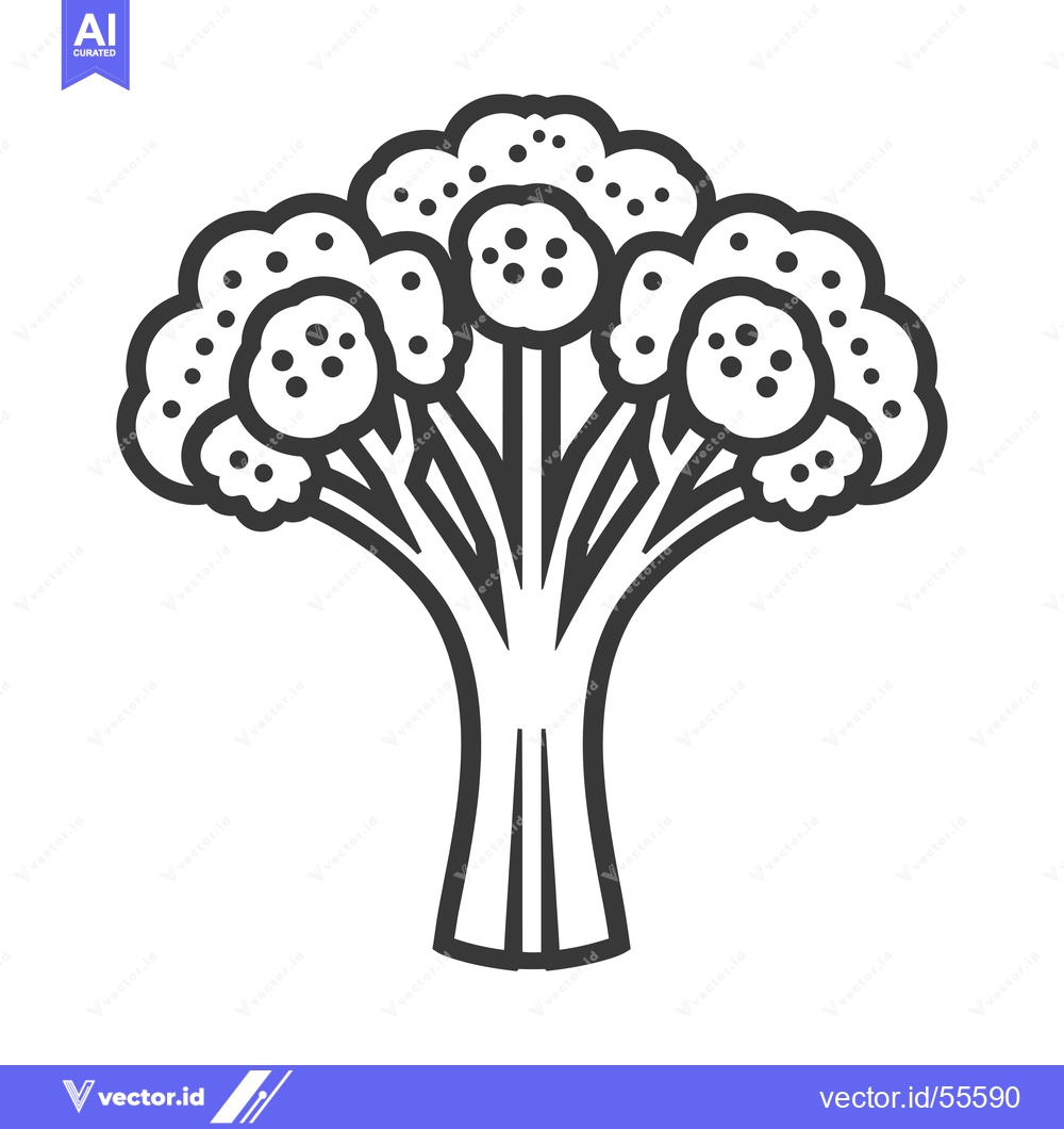 Premium Vector of Line Drawing of a Broccoli Floret with a Stem