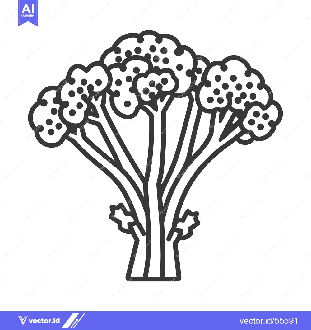 Premium Vector of Line drawing of a broccoli floret with stem