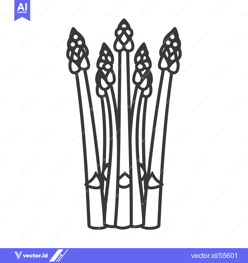Premium Vector dari Line drawing of a bunch of asparagus spears