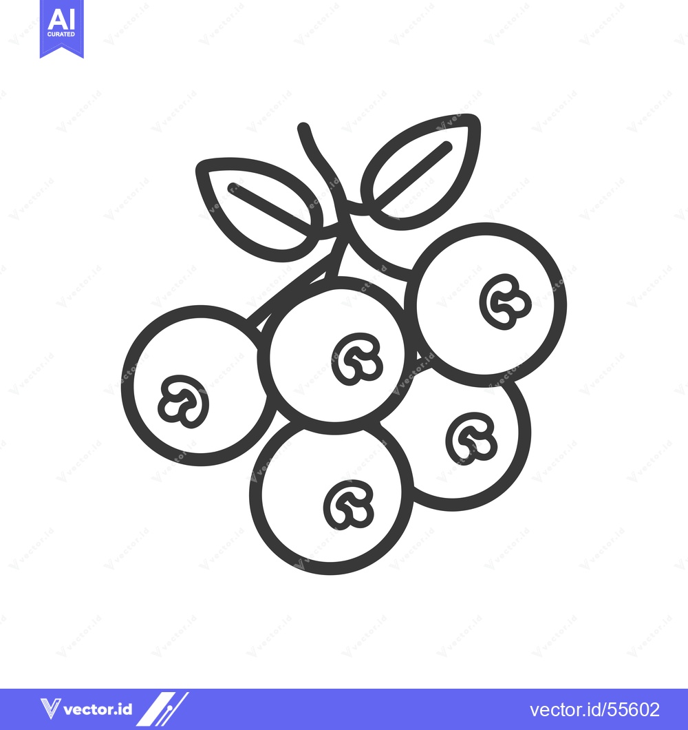 Premium Vector of Line drawing of a bunch of blueberries with leaves