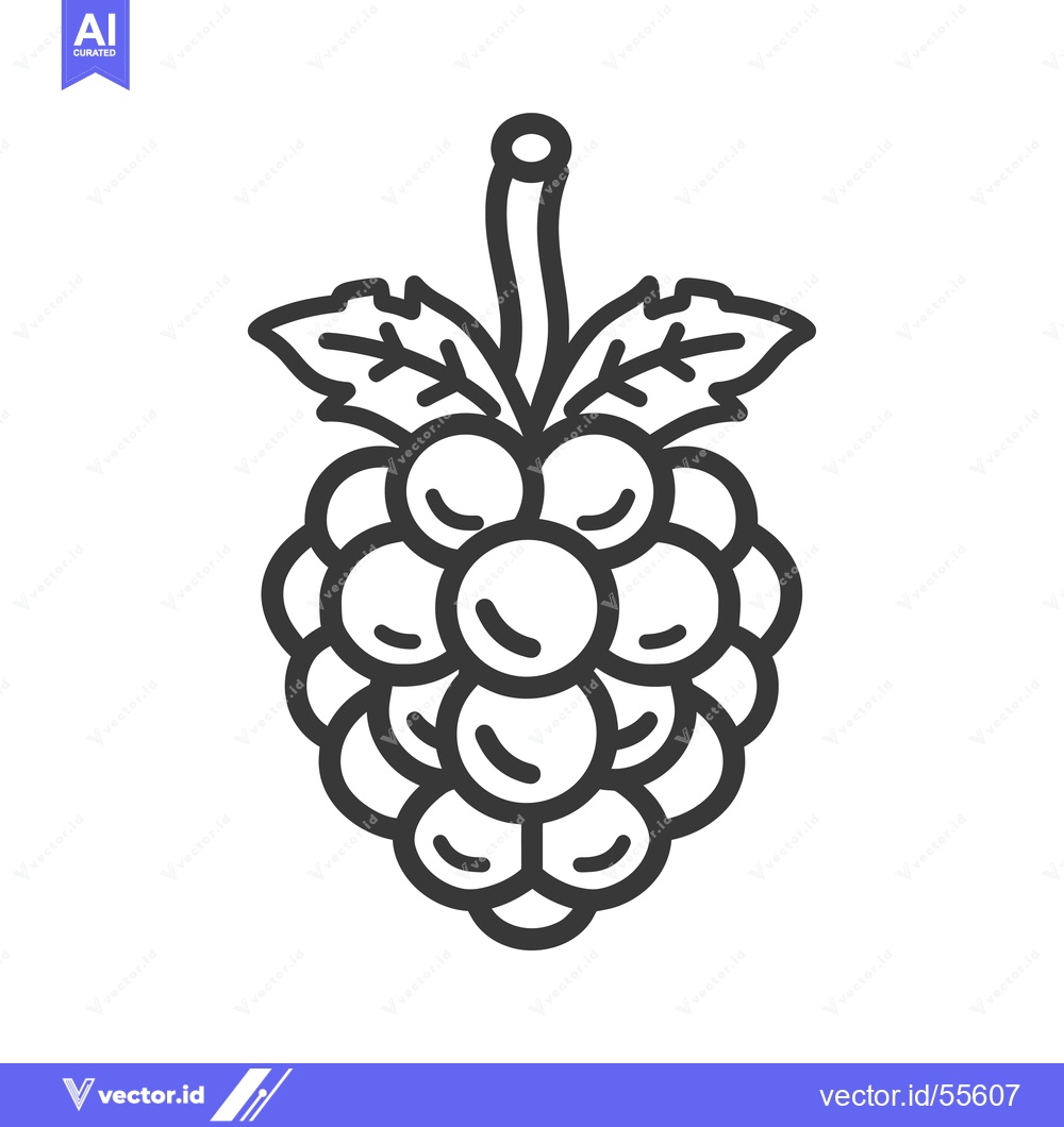 Premium Vector dari Line drawing of a bunch of grapes with a vine and leaves