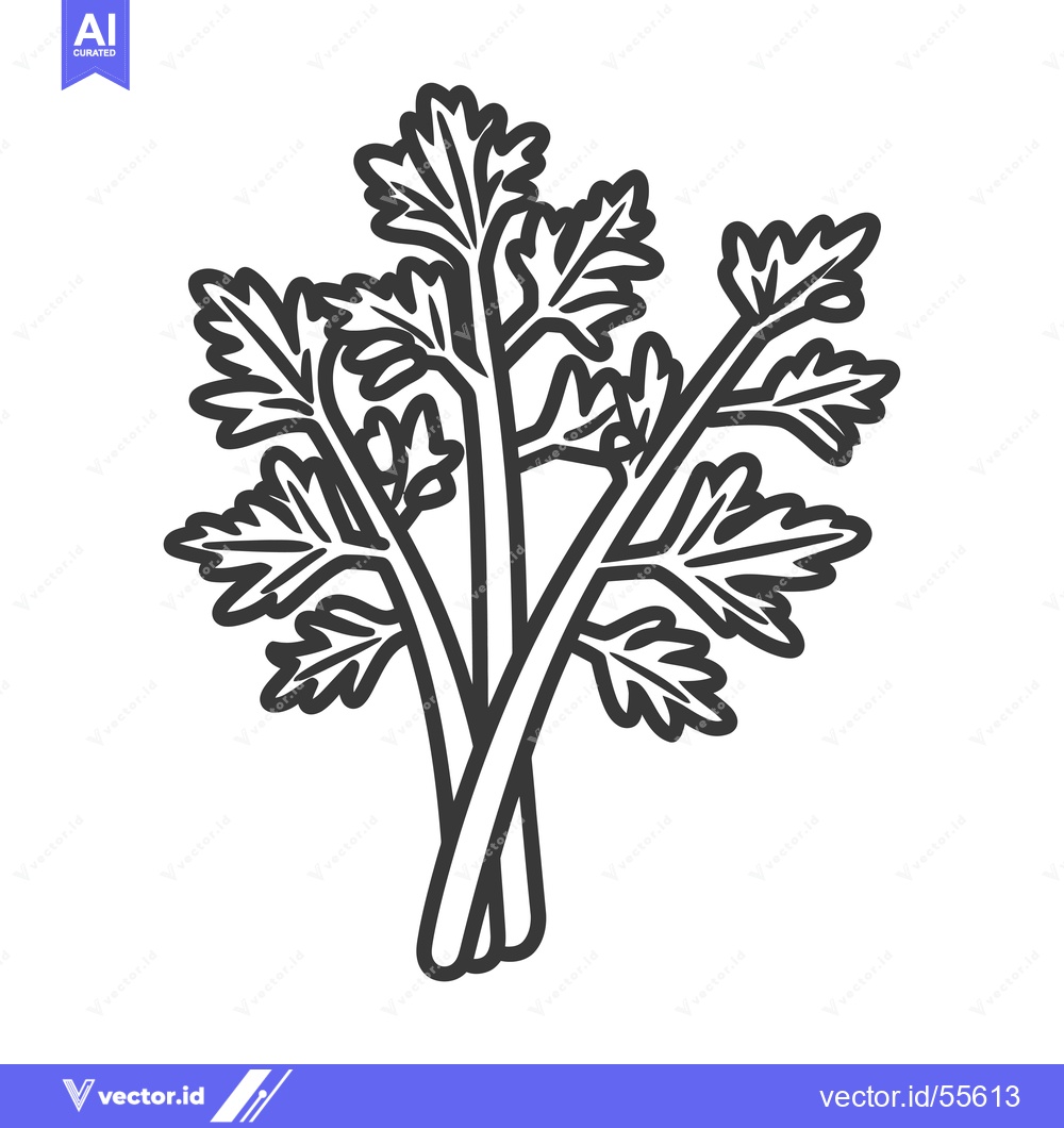 Premium Vector dari Line Drawing of a Bunch of Parsley