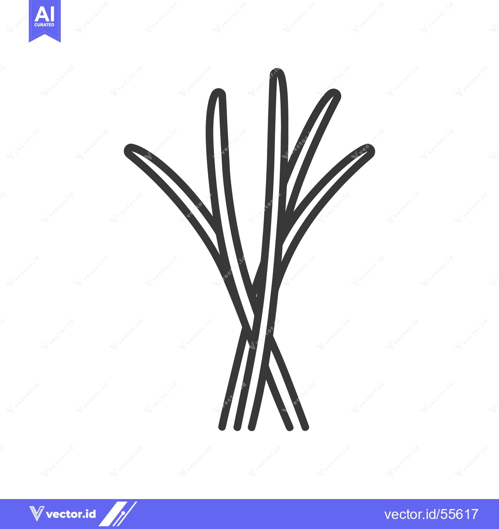 Premium Vector of Line Drawing of a Bundle of Lemongrass Stalks