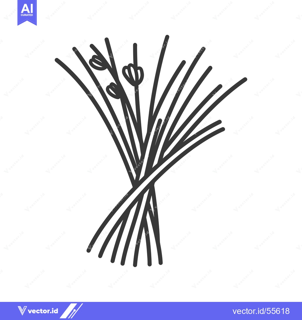 Premium Vector of Line Drawing of a Bundle of Lemongrass Stalks with Flower Buds