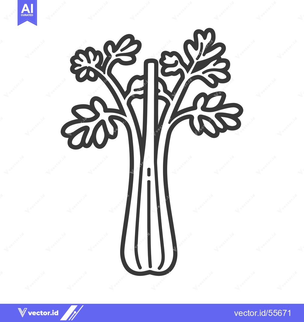 Premium Vector of Line Drawing of a Celery Stalk with Leaves