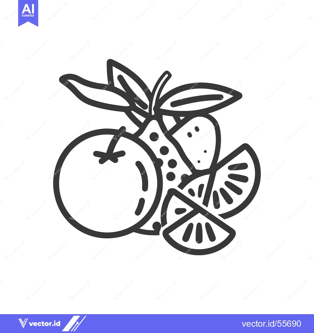 Premium Vector of Line drawing of a citrus fruit assortment
