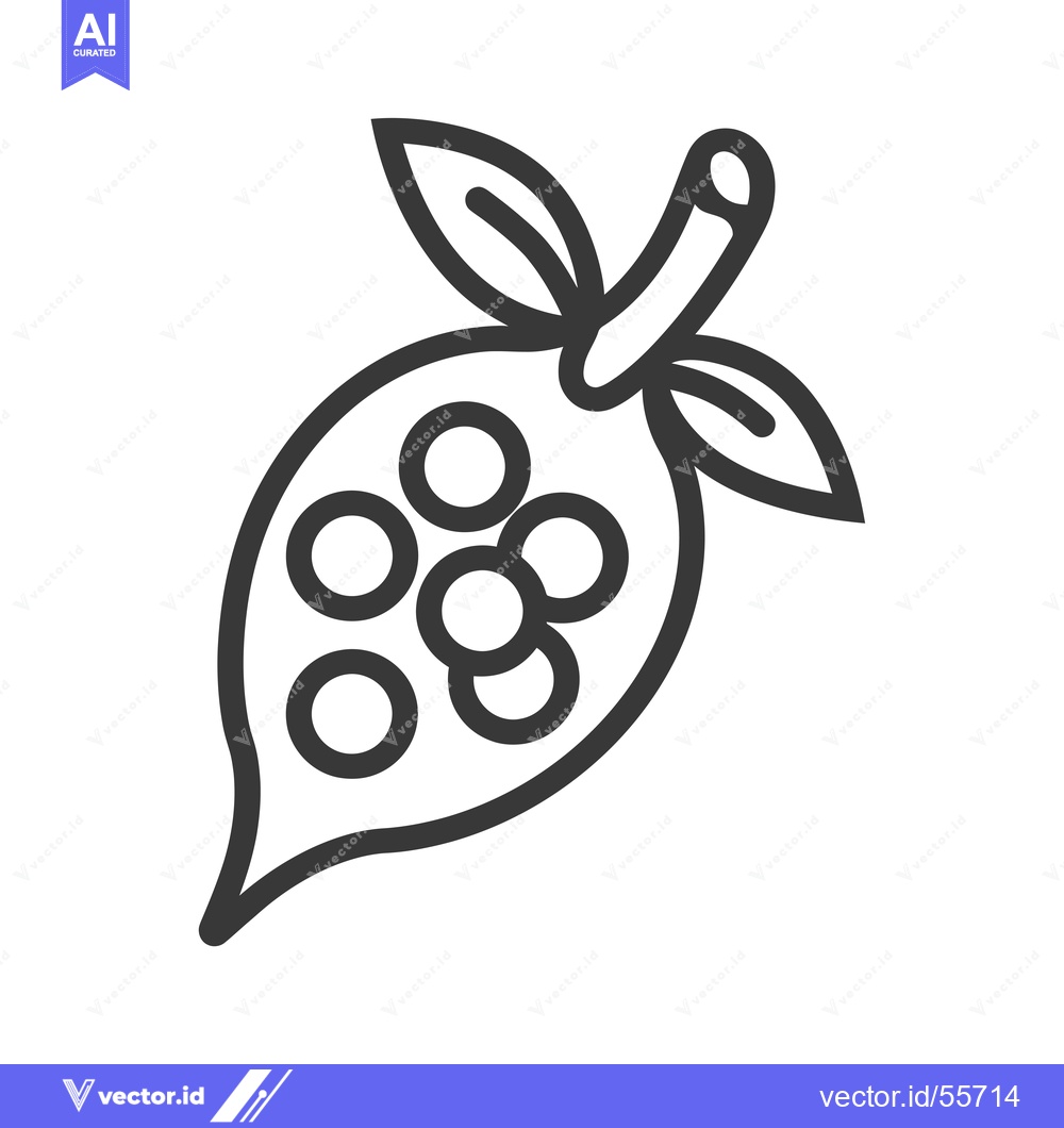 Premium Vector dari Line drawing of a cocoa pod with beans