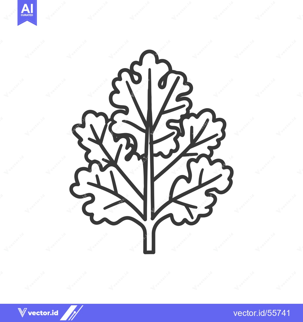 Premium Vector dari Line drawing of a coriander leaf