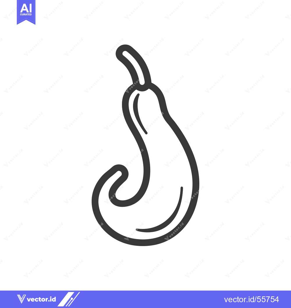 Premium Vector dari Line drawing of a curved, pear-shaped gourd