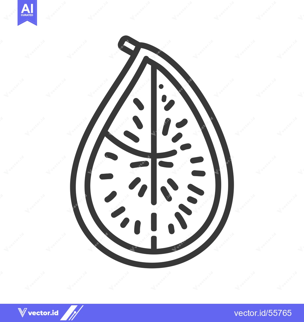 Premium Vector dari Line drawing of a cut open fig fruit