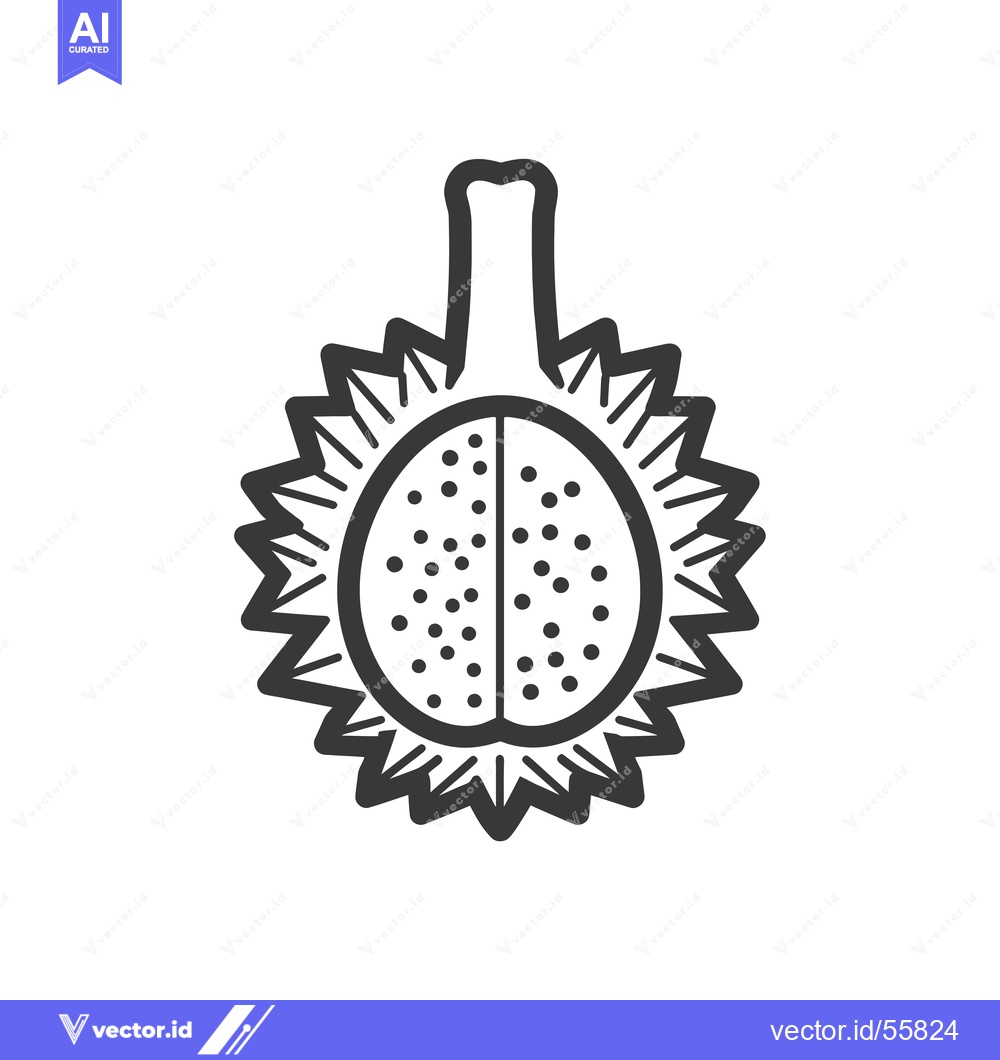 Premium Vector of Line Drawing of a Durian Fruit with a Spiky Shell and Seeds