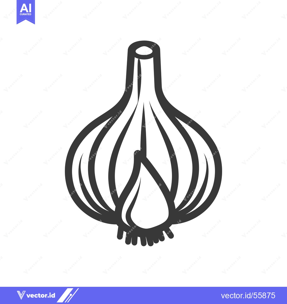 Premium Vector dari Line drawing of a garlic bulb