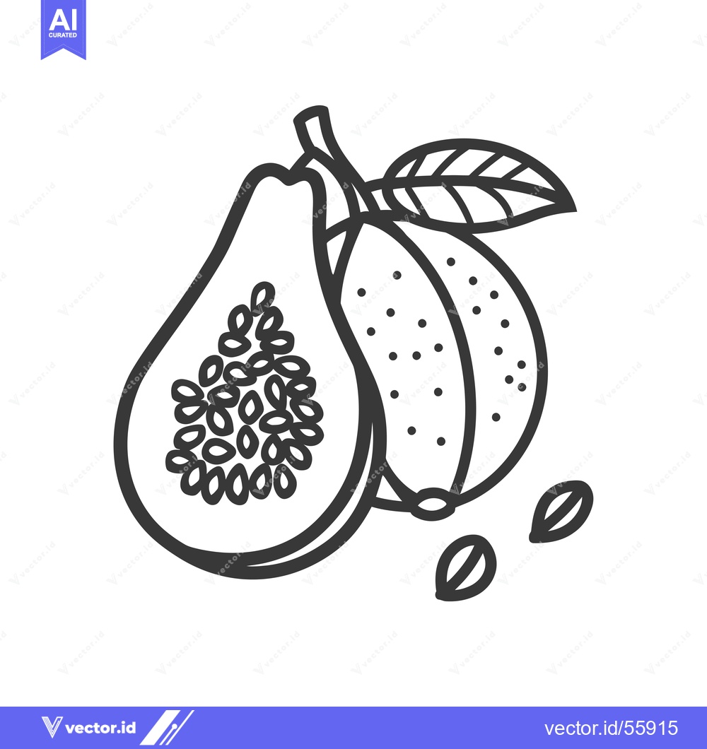 Premium Vector dari Line Drawing of a Guava Fruit with Seeds and Leaf