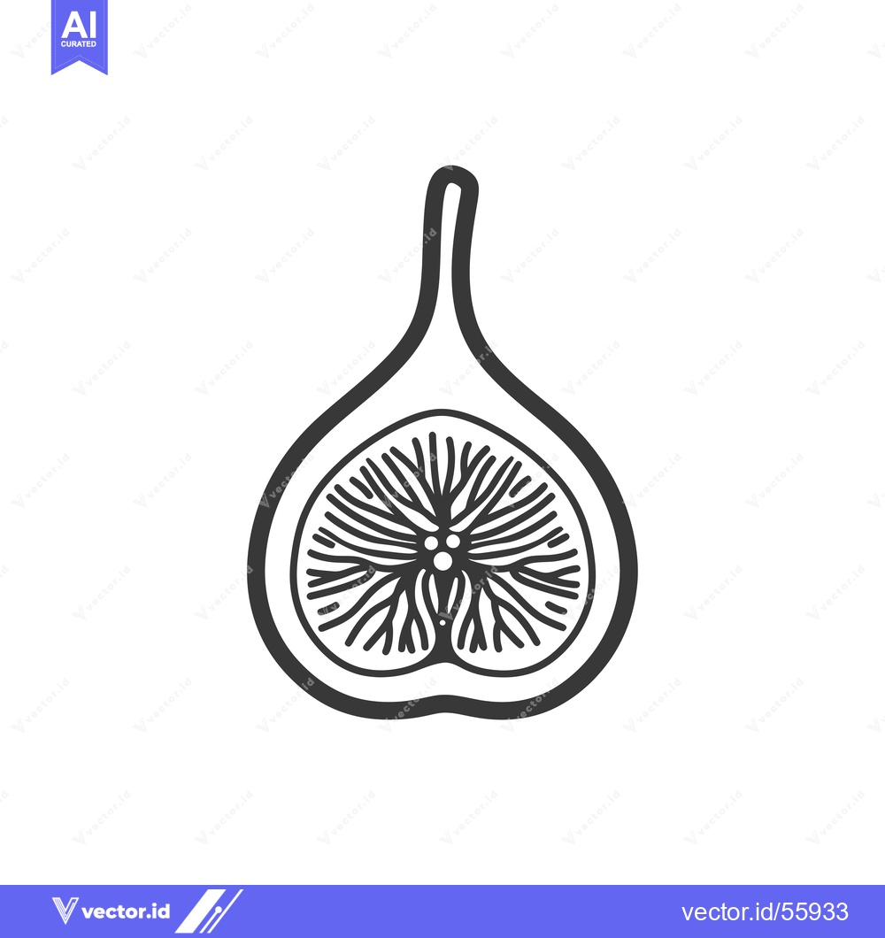 Premium Vector dari Line Drawing of a Halved Fig with Seeds and Stem