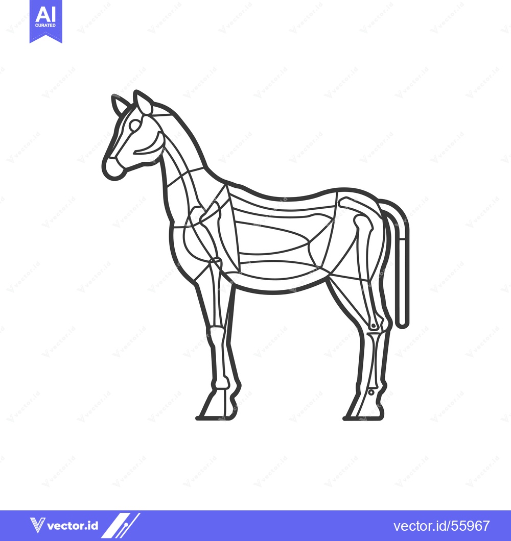 Premium Vector of Line drawing of a horse with its skeleton and muscle structure