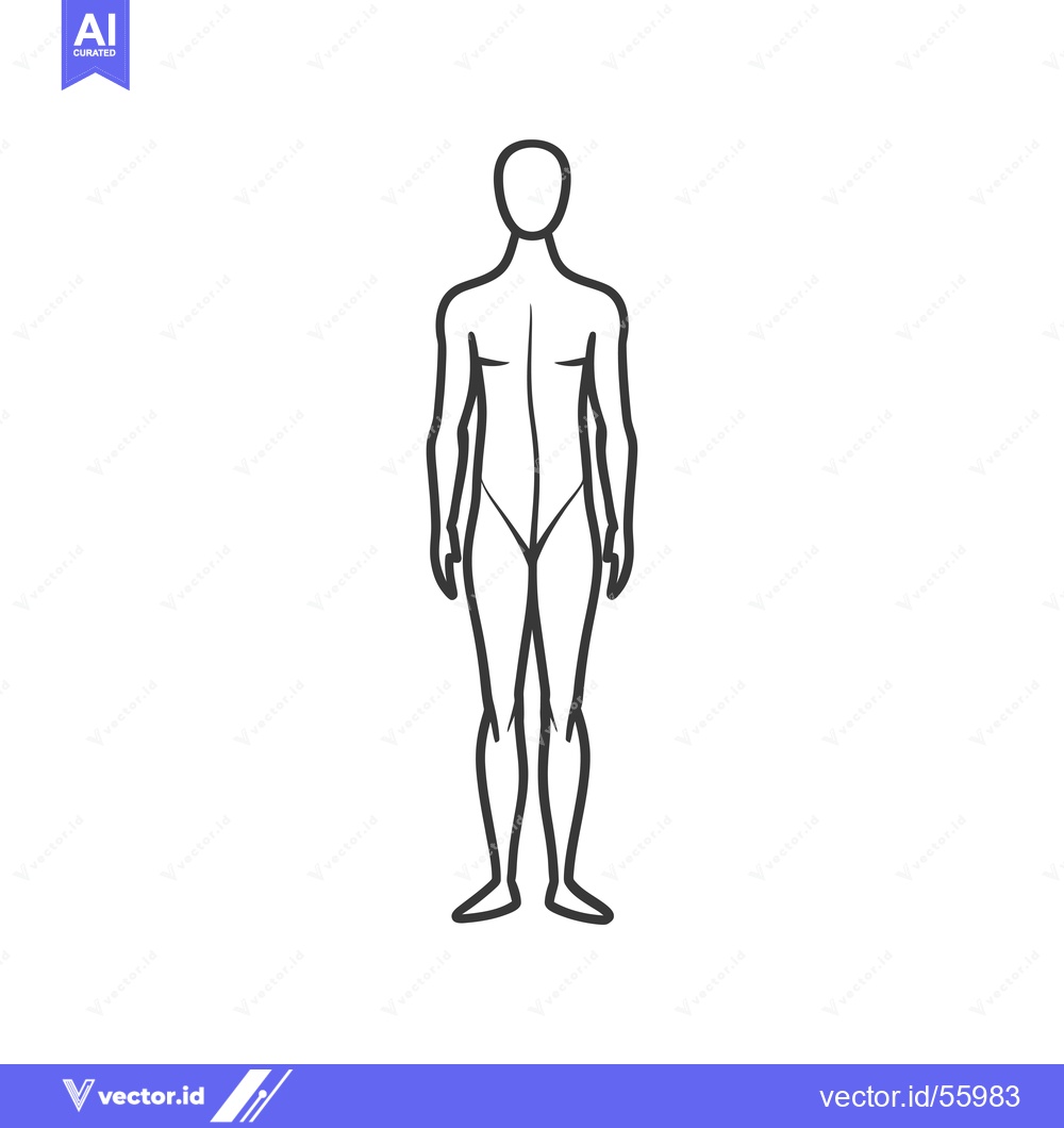 Premium Vector of Line drawing of a human figure standing upright