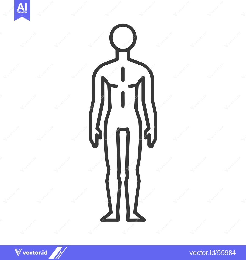 Premium Vector of Line drawing of a human figure standing upright