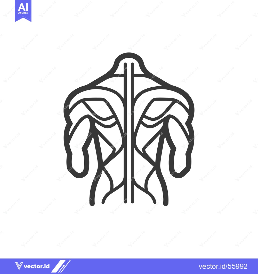 Premium Vector dari Line Drawing of a Human Torso's Back Muscles