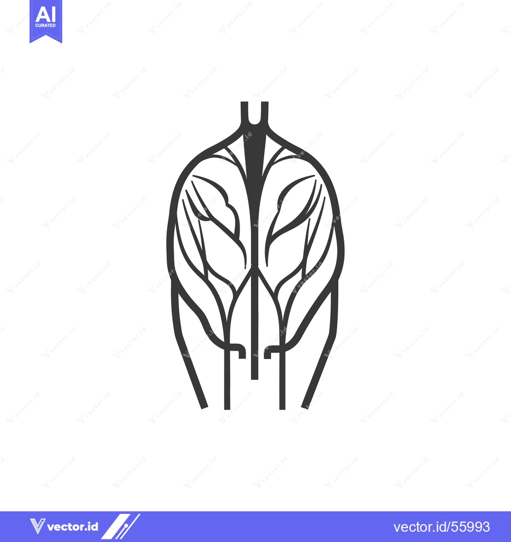 Premium Vector dari Line drawing of a human vascular system in the pelvic area