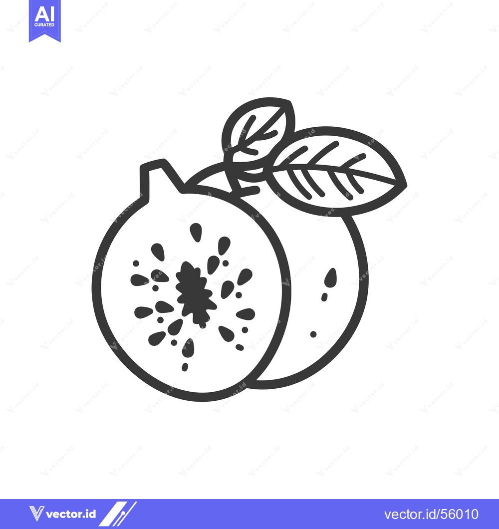 Premium Vector of Line drawing of a kiwi fruit with leaves