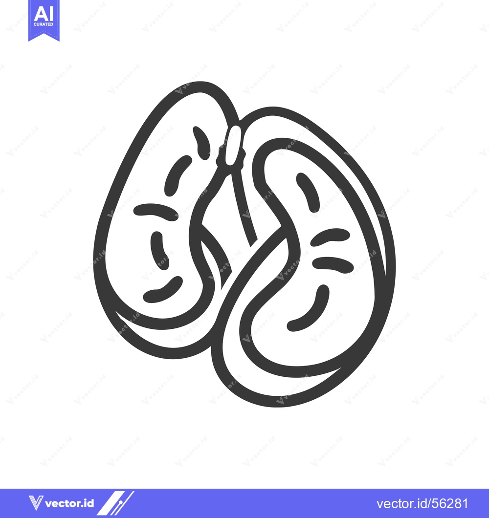 Premium Vector dari Line Drawing of a Pair of Kidneys