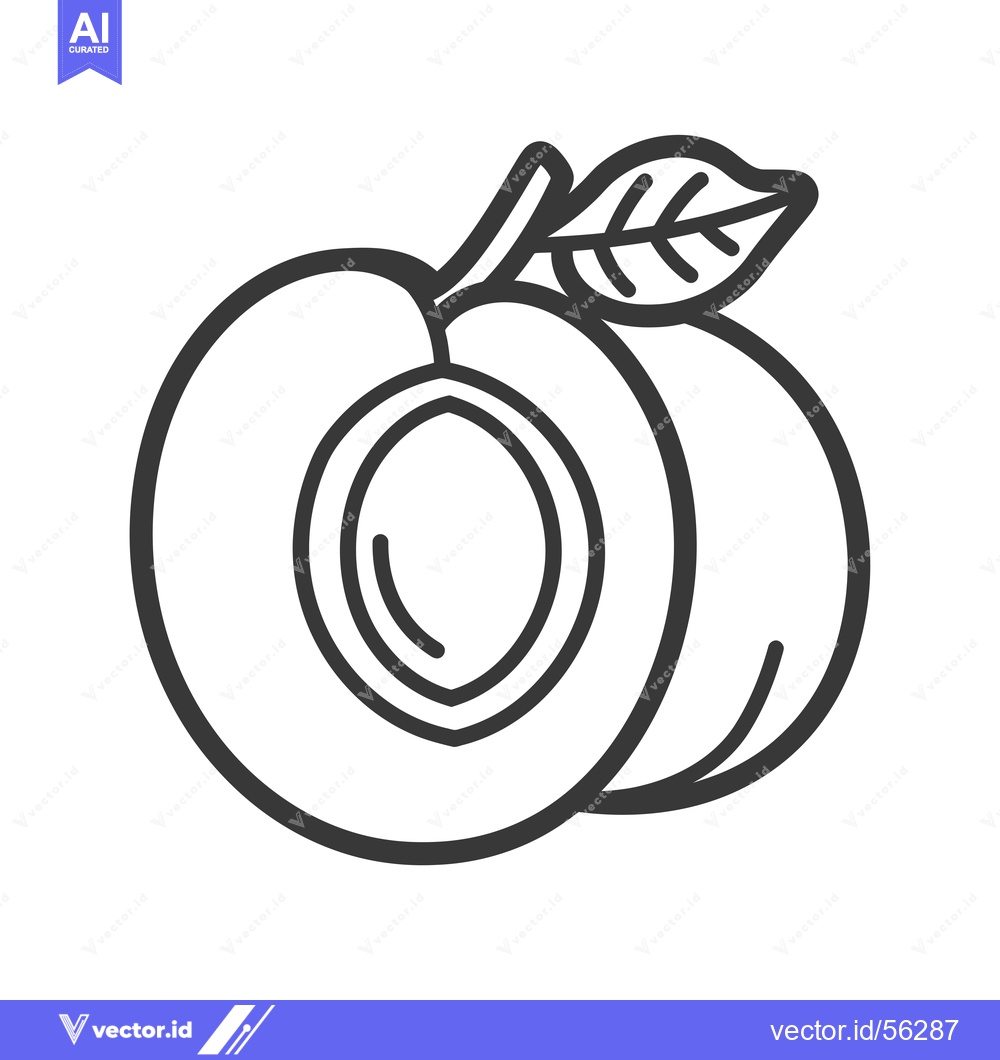 Premium Vector dari Line Drawing of a Peach Cut in Half with a Leaf