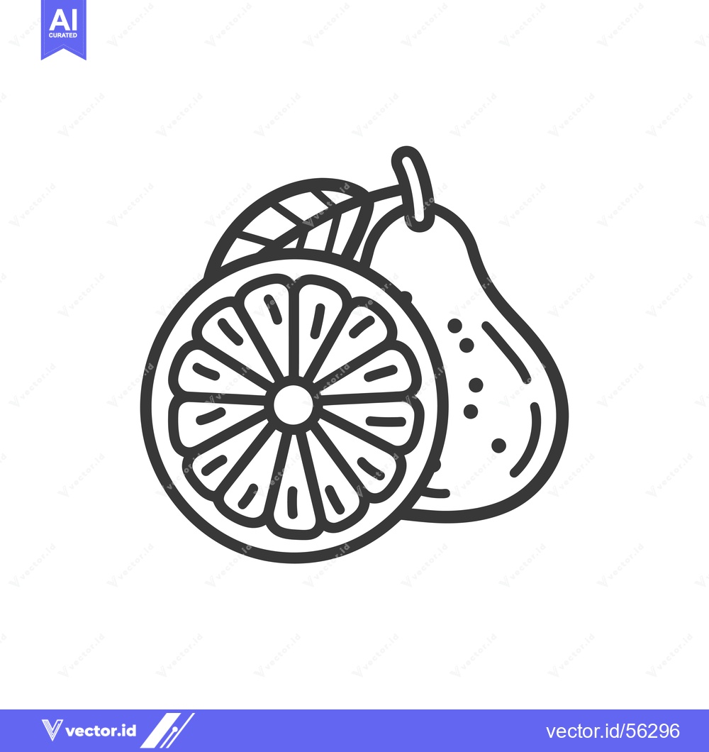 Premium Vector of Line Drawing of a Pear and a Sliced Citrus Fruit