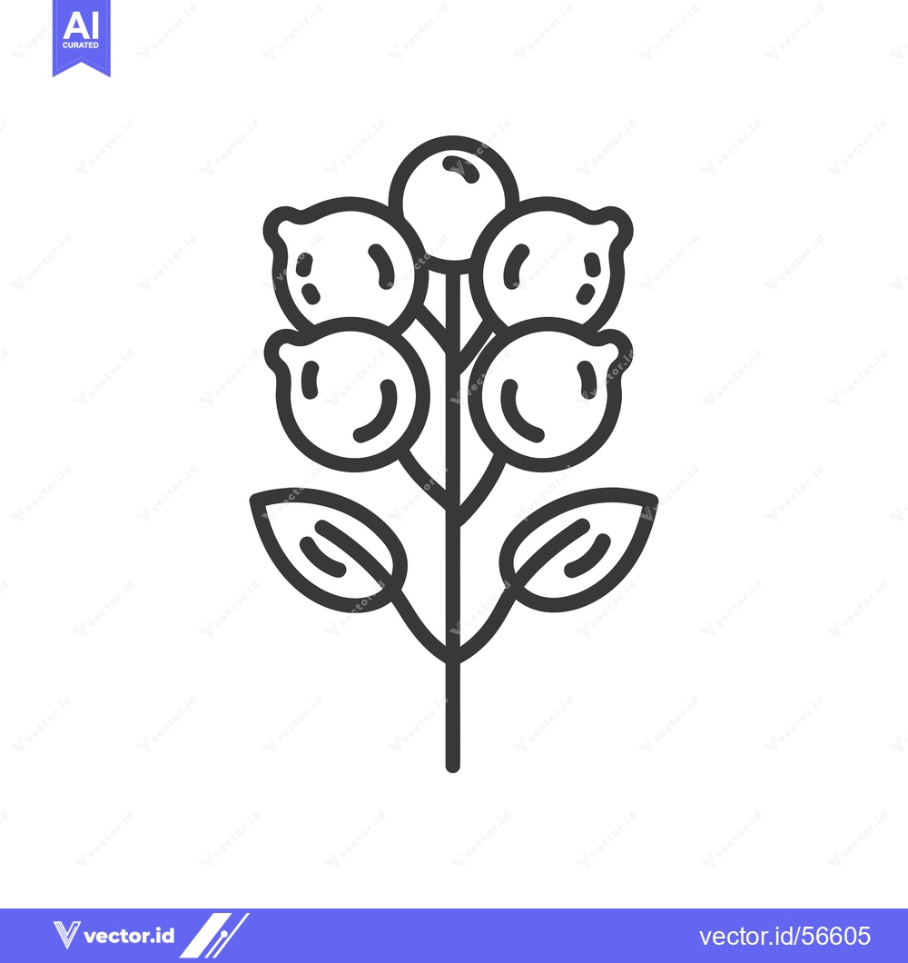 Premium Vector dari Line drawing of a plant with five round fruits and two leaves