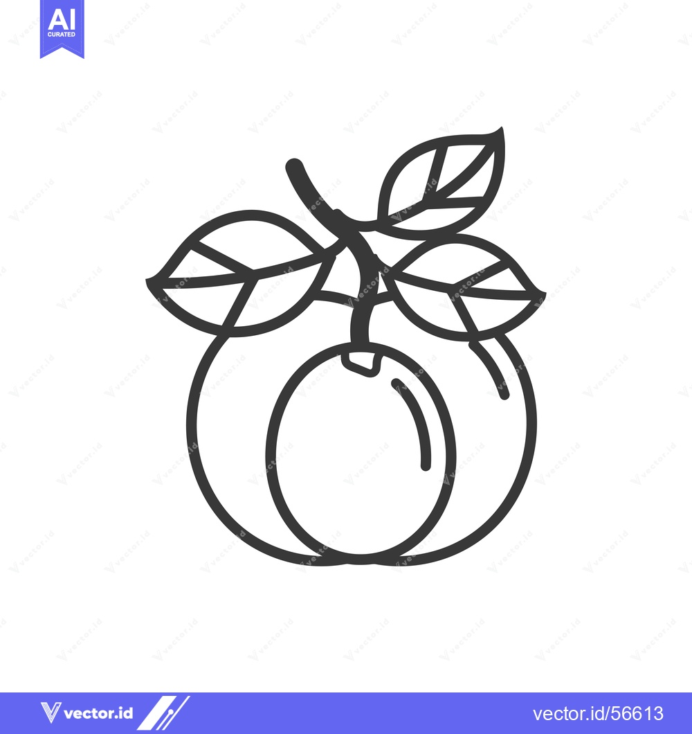 Premium Vector dari Line Drawing of a Plum with Stem and Leaves