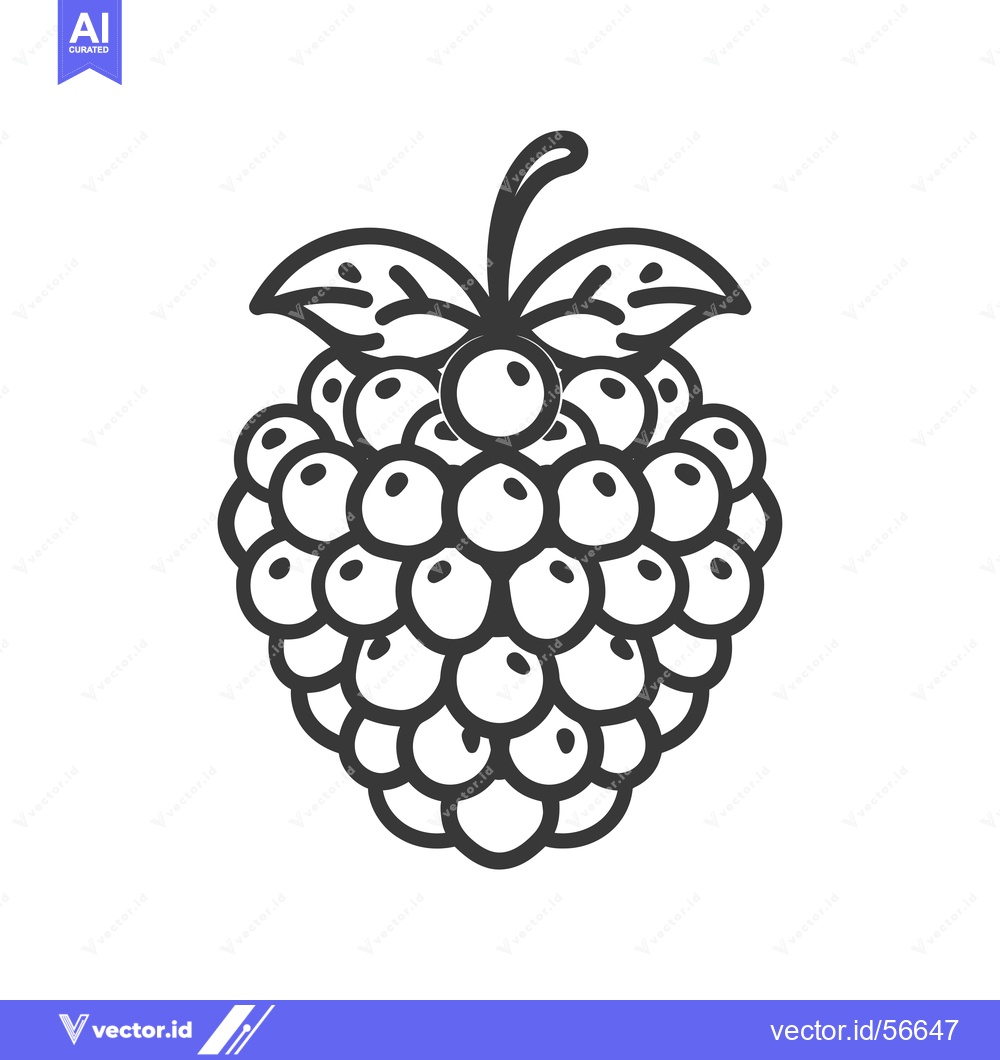 Premium Vector dari Line Drawing of a Raspberry with Leaves