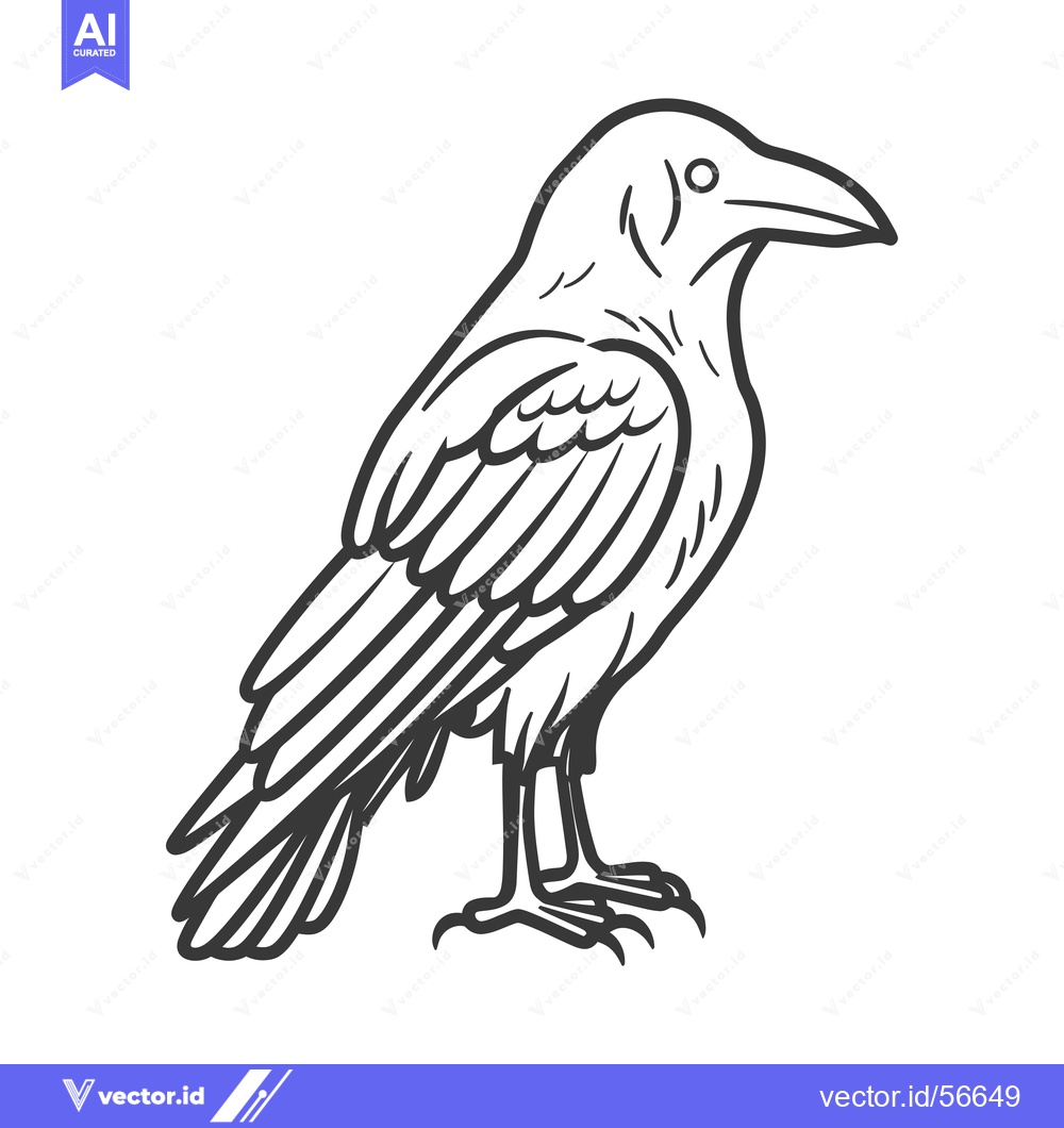 Premium Vector of Line Drawing of a Raven with Sharp Claws and a Beak