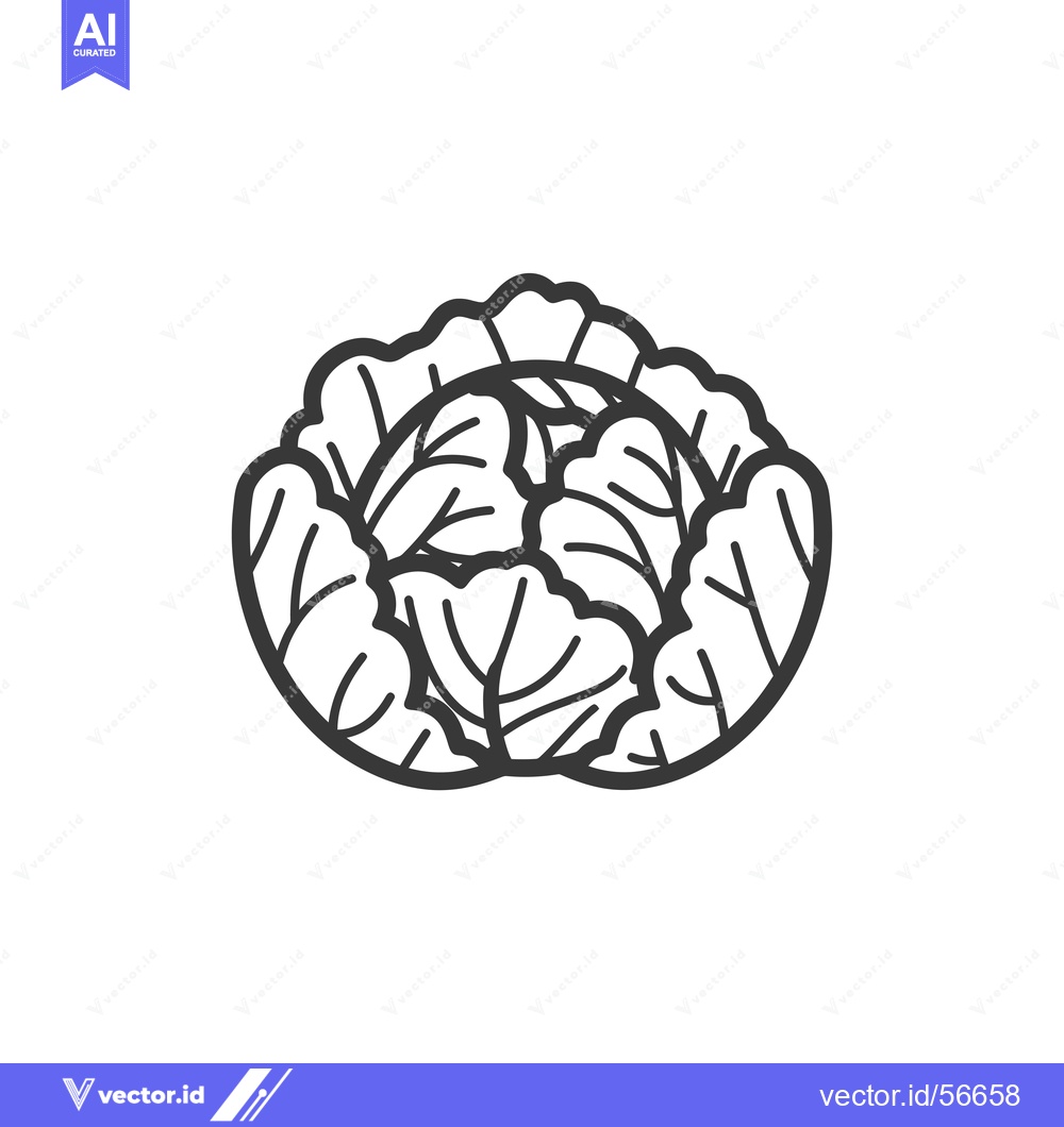 Premium Vector dari Line Drawing of a Round Cabbage with Detailed Leaves