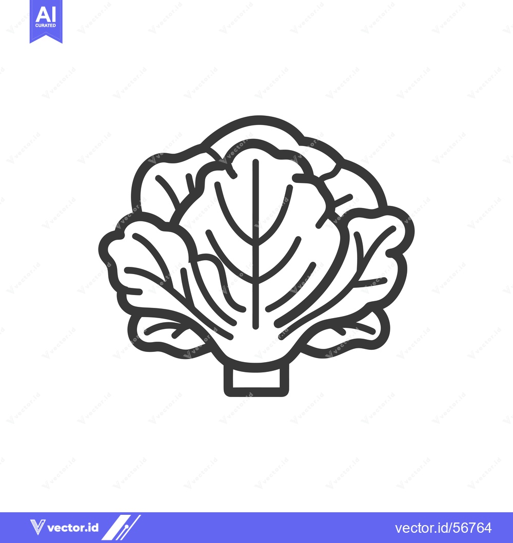 Premium Vector dari Line Drawing of a Single Cabbage