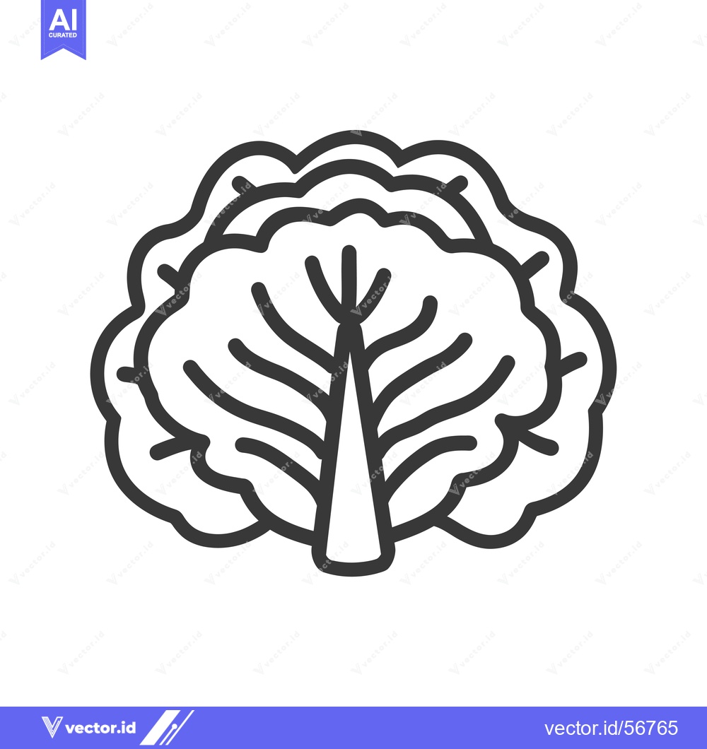 Premium Vector dari Line drawing of a single cabbage with a white background