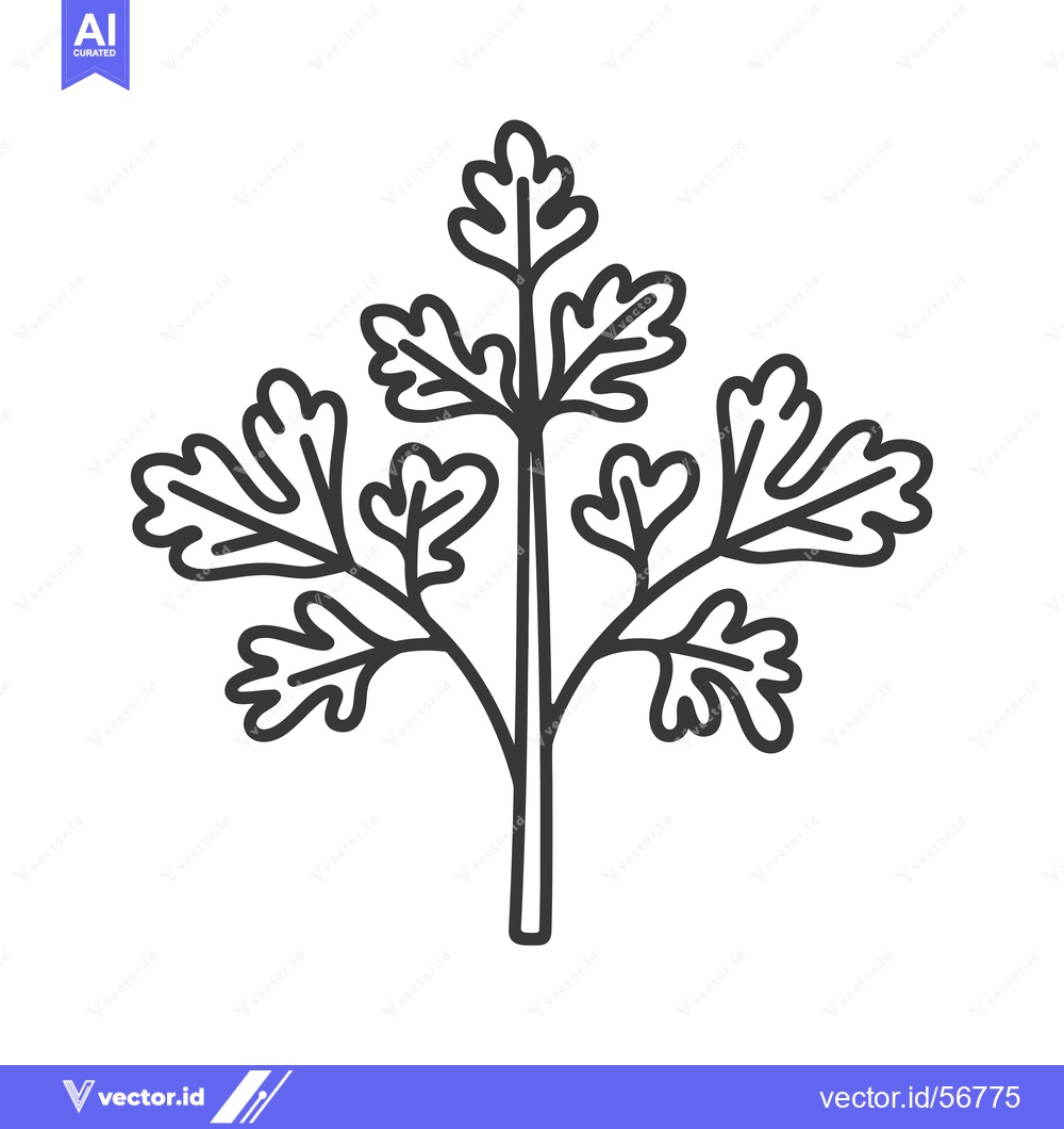 Premium Vector dari Line drawing of a single cilantro sprig