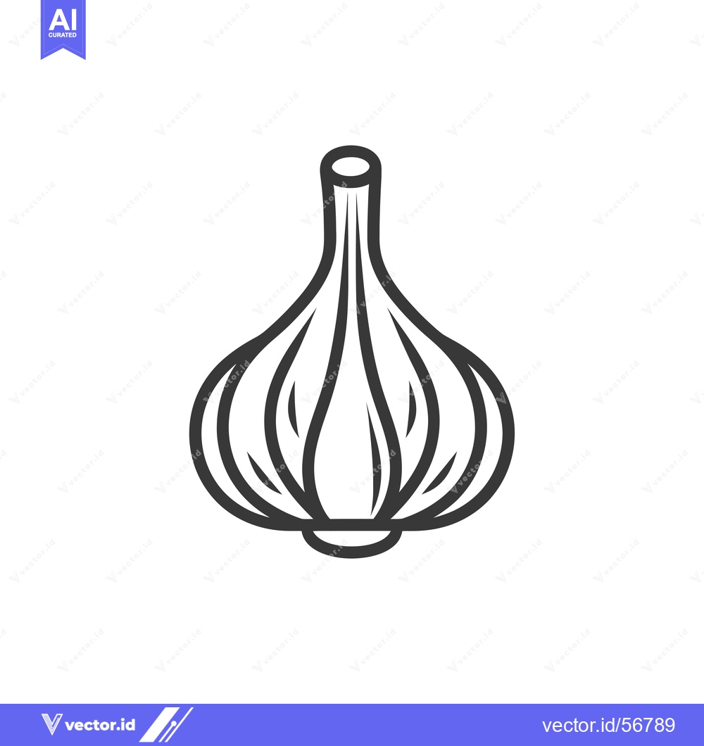 Premium Vector of Line Drawing of a Single Garlic Bulb