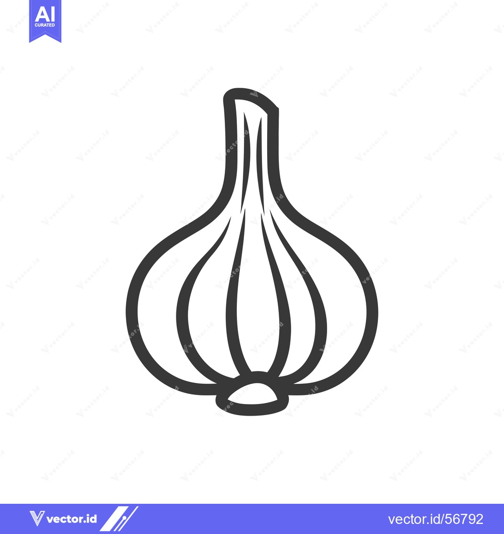 Premium Vector dari Line drawing of a single garlic bulb