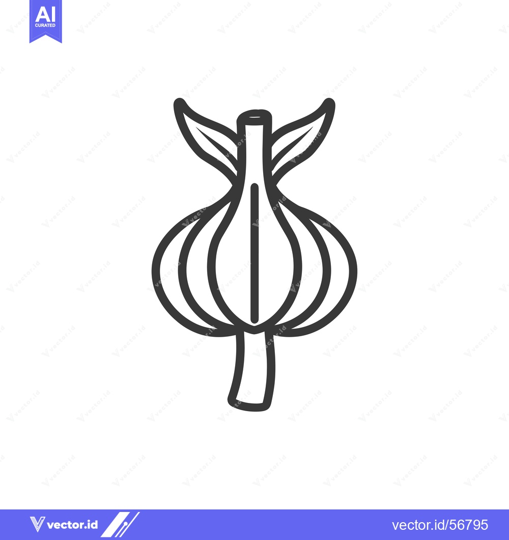 Premium Vector dari Line drawing of a single garlic bulb with leaves