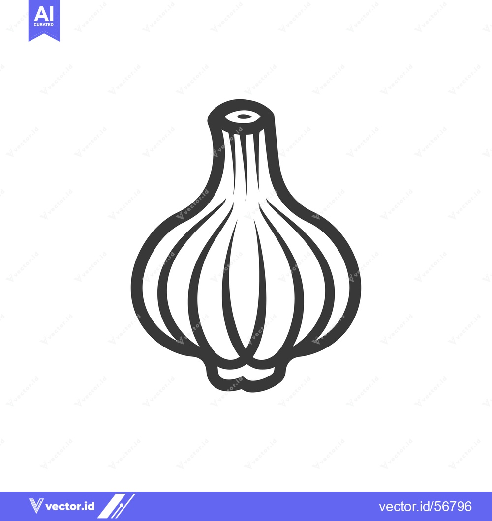 Premium Vector of Line drawing of a single garlic clove